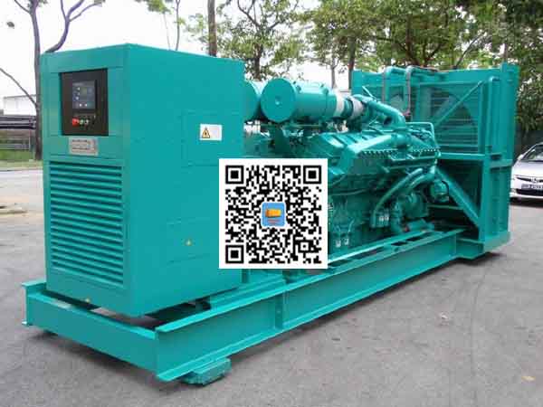 大安租赁发电机-康明斯发电机性价比还是比较高的